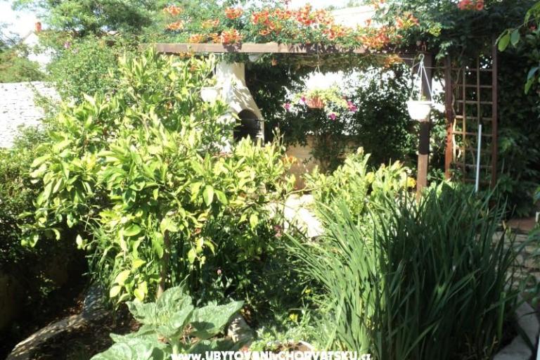 Maison Pacic – foto 15