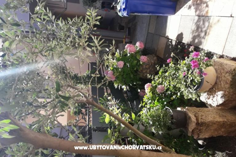 Appartements SUNI – foto 6