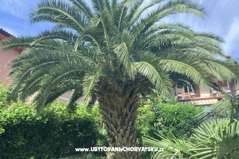 Apartmani Rubinić  – foto 19