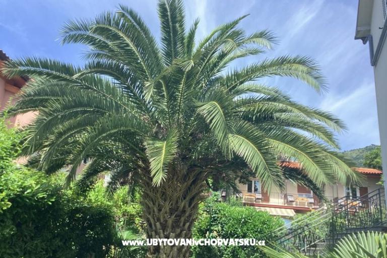 Apartmani Rubinić  – foto 26