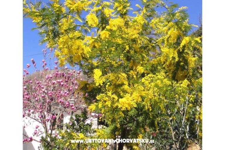 Appartements Vera – foto 15