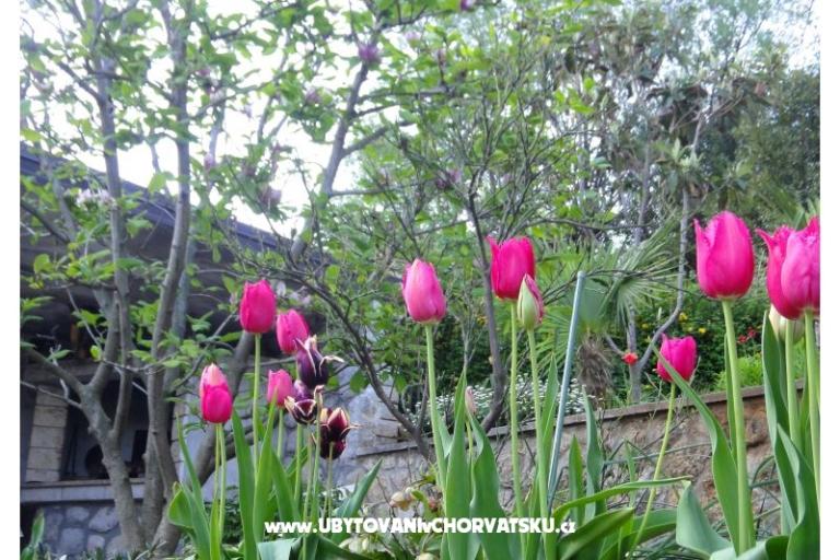 Appartements Vera – foto 18