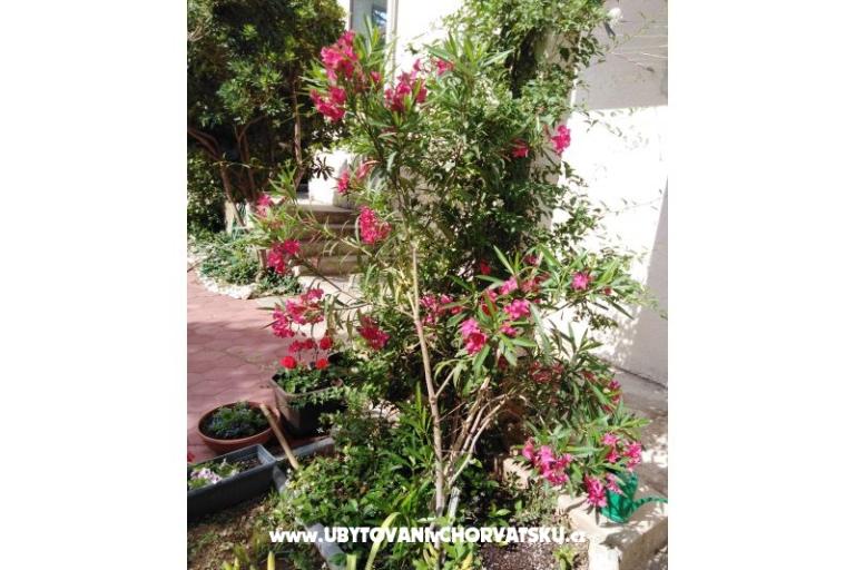 Appartement Fifi – foto 7