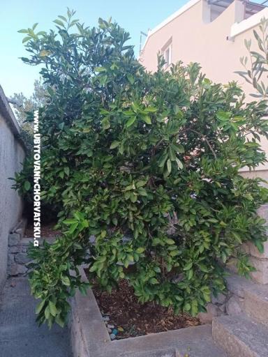 Appartements Milka – foto 34