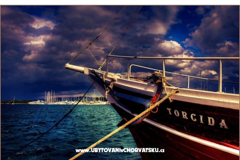 Campement Rehut Murter Slanica – foto 13