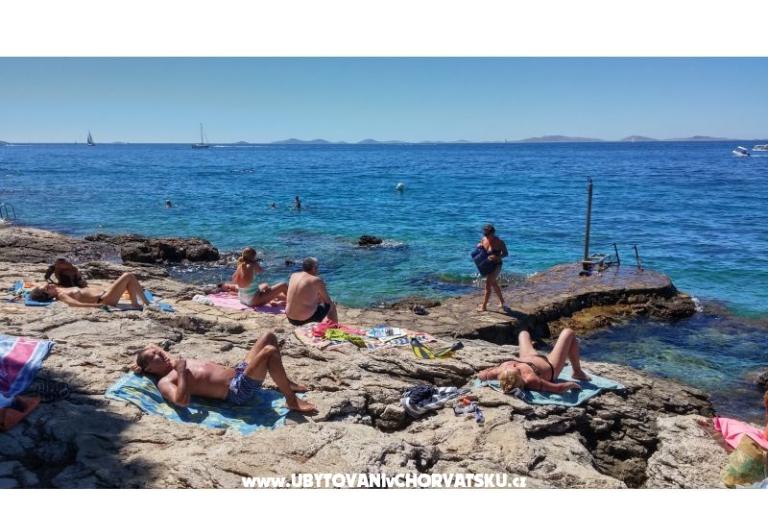 Miljenko – foto 4