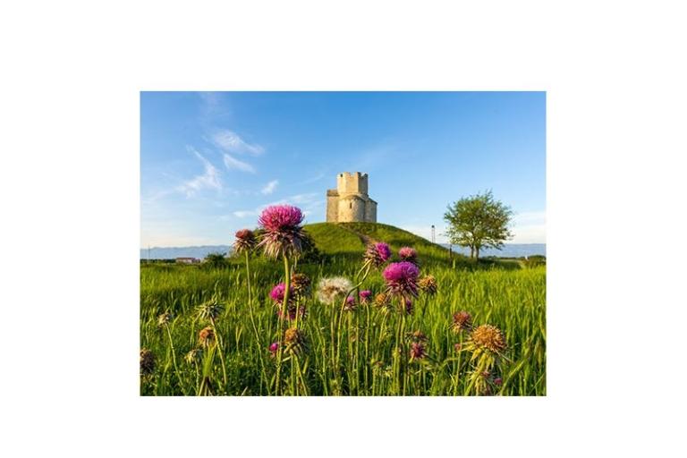 Appartements Elizabeta – foto 15