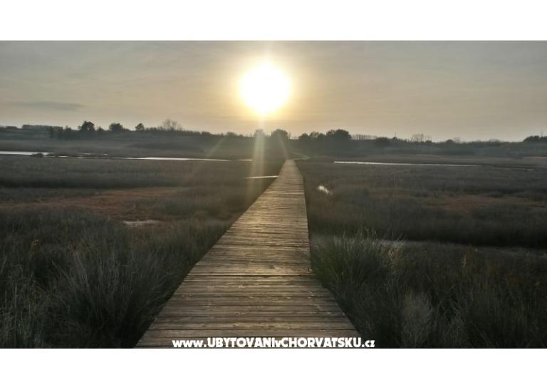 Appartements Ivana Nin – foto 18