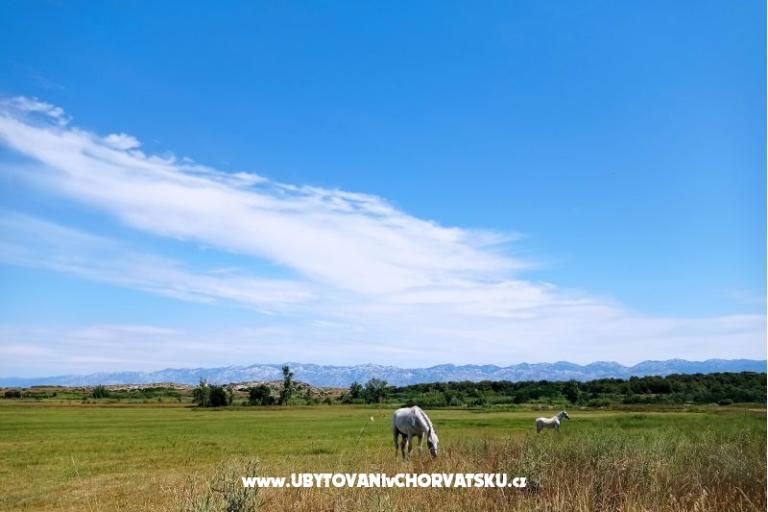 Holiday Home Eda – foto 13