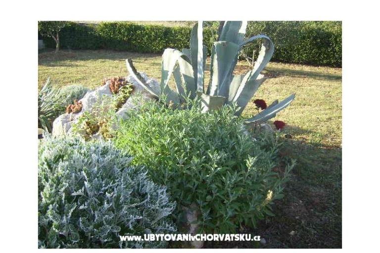 Appartement Ivona – foto 15