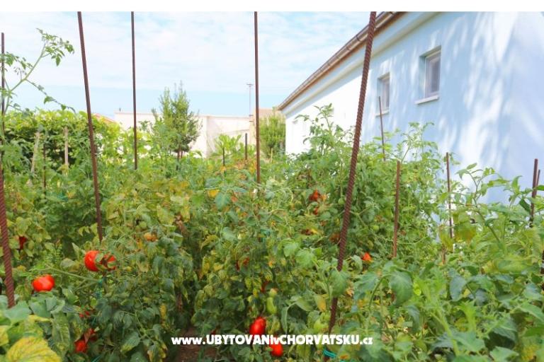 Holiday Home POMALO – foto 15