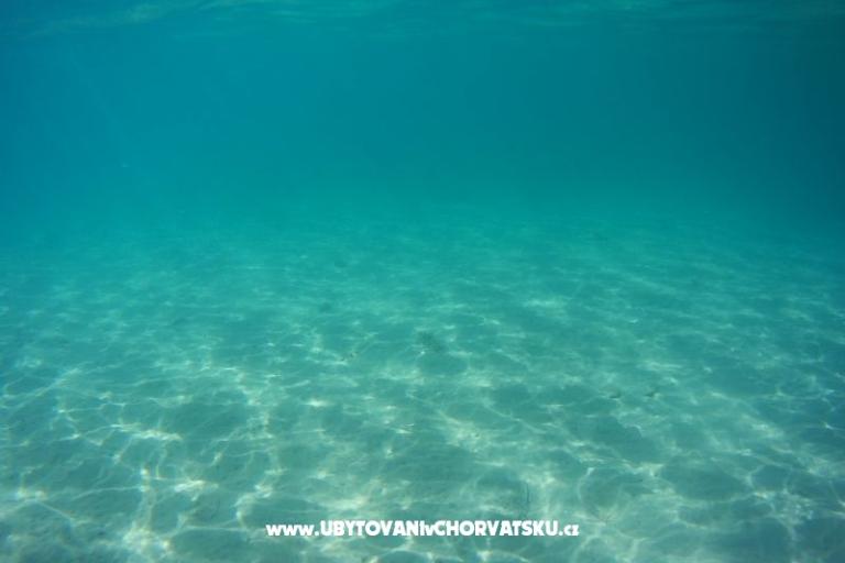 Appartements Vučur  – foto 17