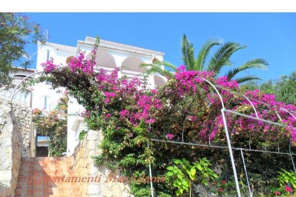 Appartement-hotel MacAdams – foto 3