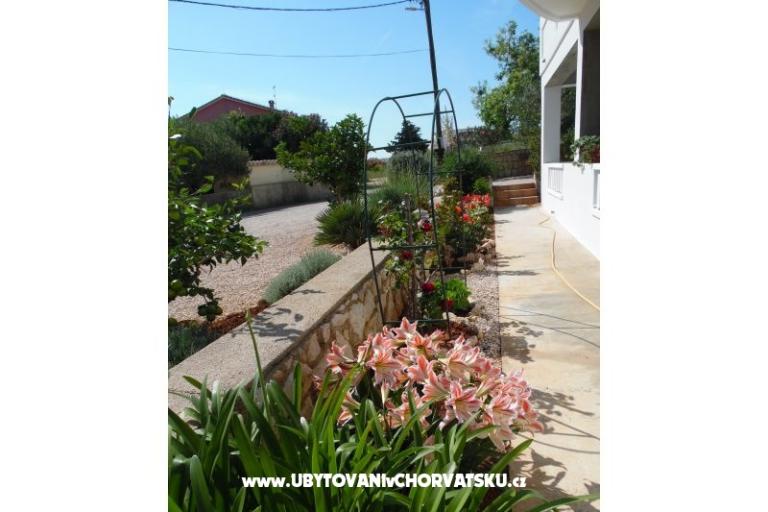 Appartements Dabo – foto 11