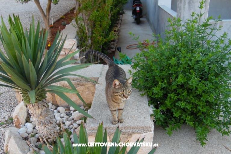 Appartements Dabo – foto 19