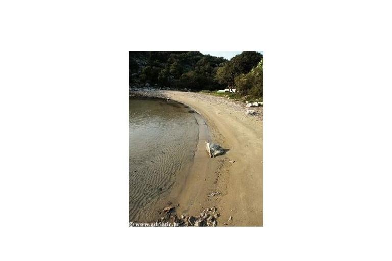 Appartements Sisul – foto 18