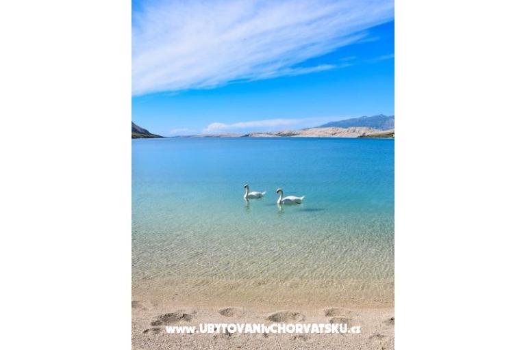 Appartements Zlatna Vala – foto 21