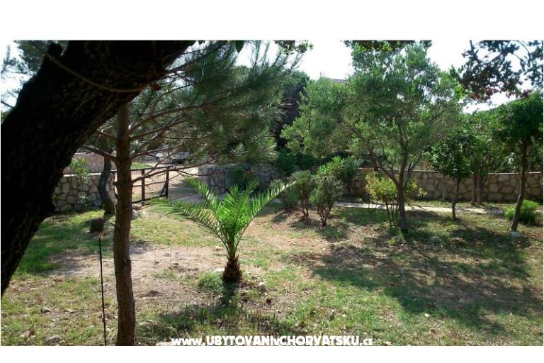 Bungalow Petrović – foto 6