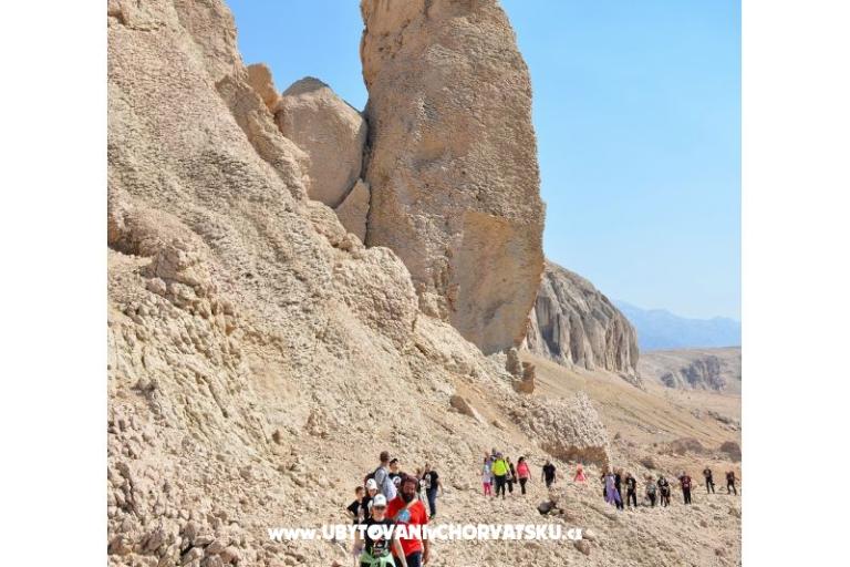 House Pende – foto 12
