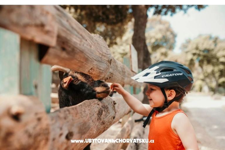 Mobile Home Luna - Campement Straško – foto 10