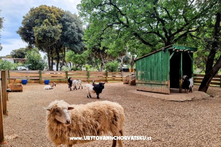 Maison Sookie – foto 41