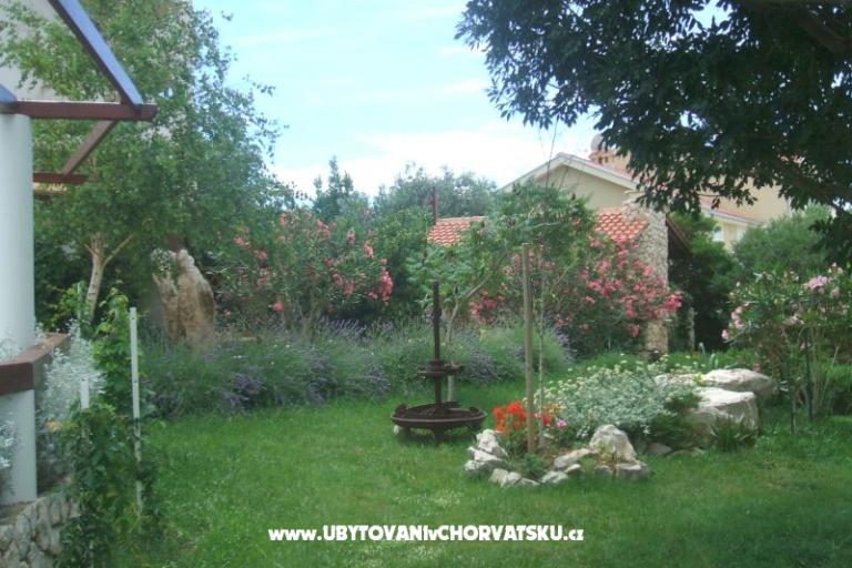 Wawa apartmani – foto 2