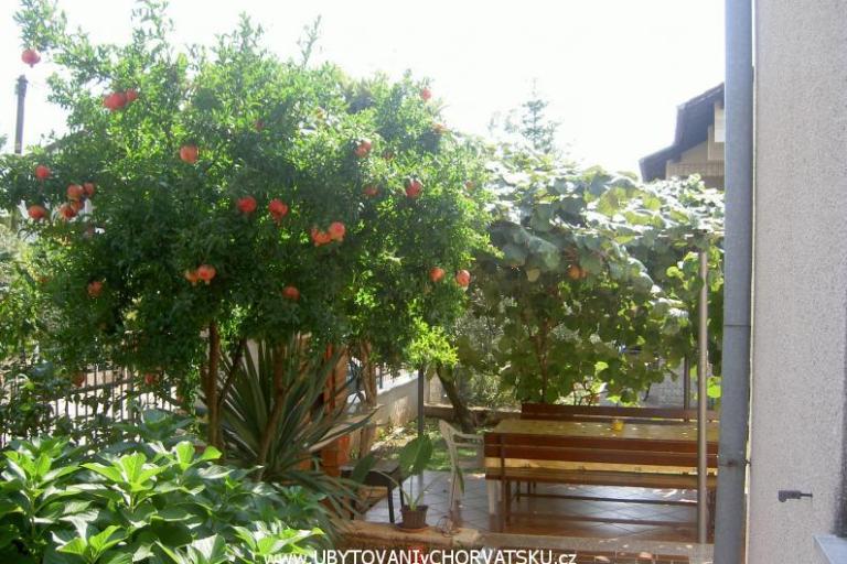 Appartements Vošten – foto 5