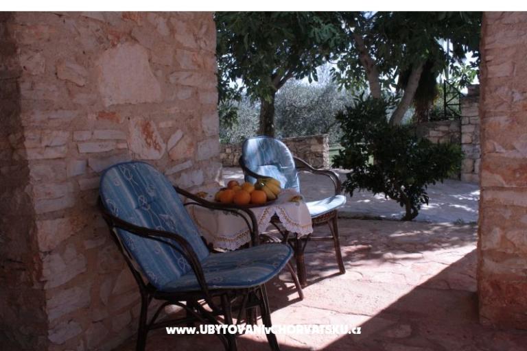 Sanja Appartements Novigrad – foto 11