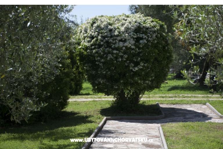 Sanja Appartements Novigrad – foto 3