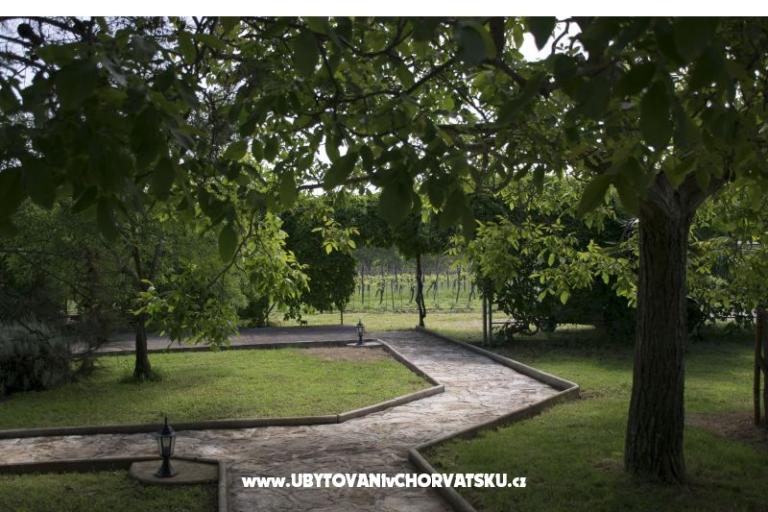 Sanja Appartements Novigrad – foto 7