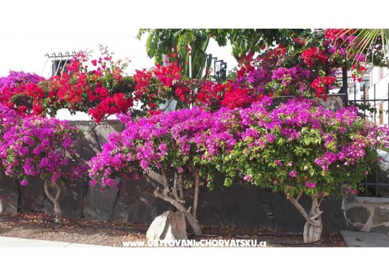 Villa Vienna – foto 15