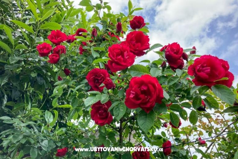 Villa Vienna – foto 25