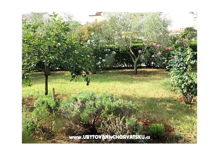 Villa Vienna – foto 3