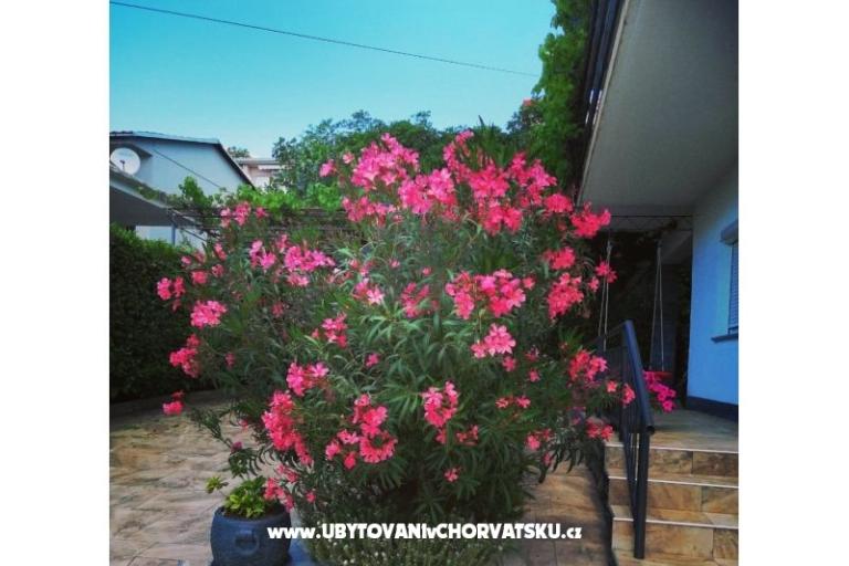 Appartements BUTKOVIĆ DUBRAVKA – foto 12