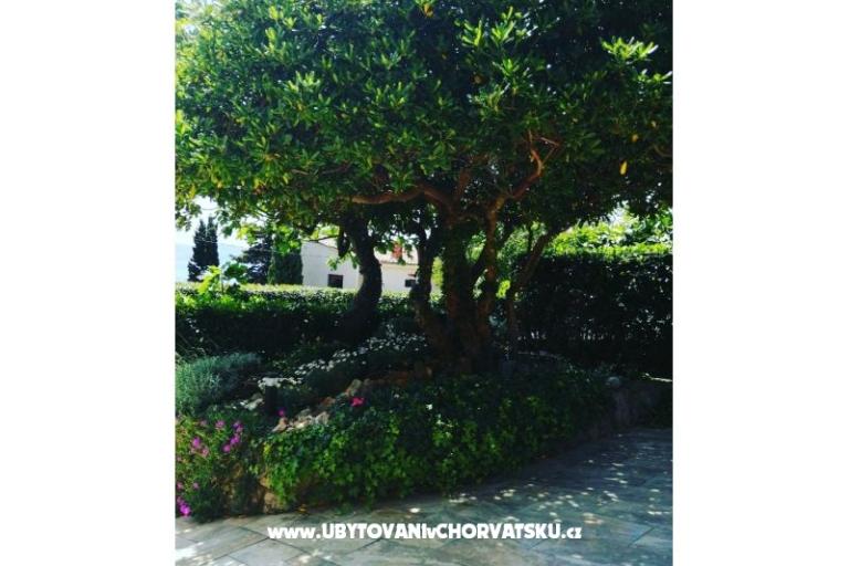 Appartements BUTKOVIĆ DUBRAVKA – foto 13