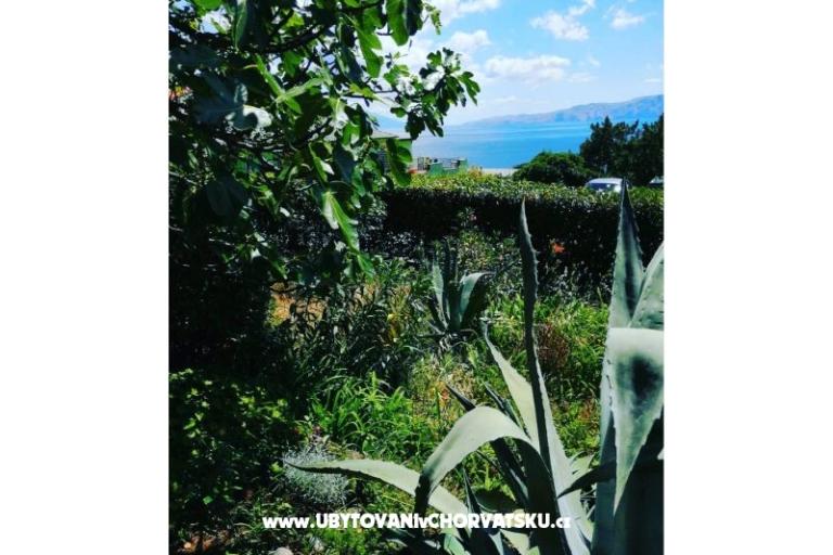 Appartements BUTKOVIĆ DUBRAVKA – foto 14