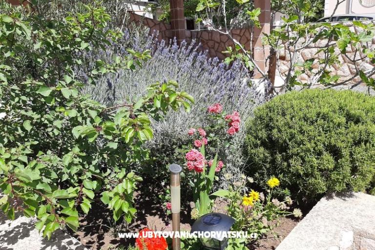 Appartements Pavelić – foto 6