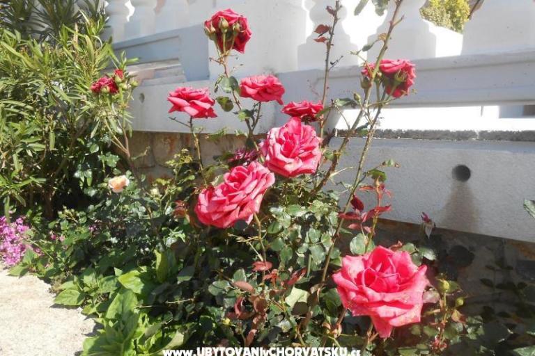 Appartements Pavelić – foto 8