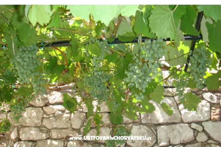 Appartements Pejaković na moru – foto 15