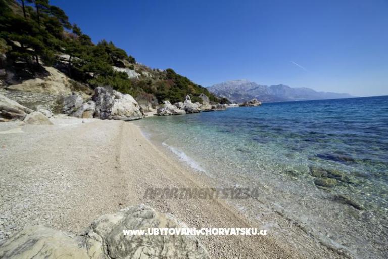 Appartements 1234 – foto 10