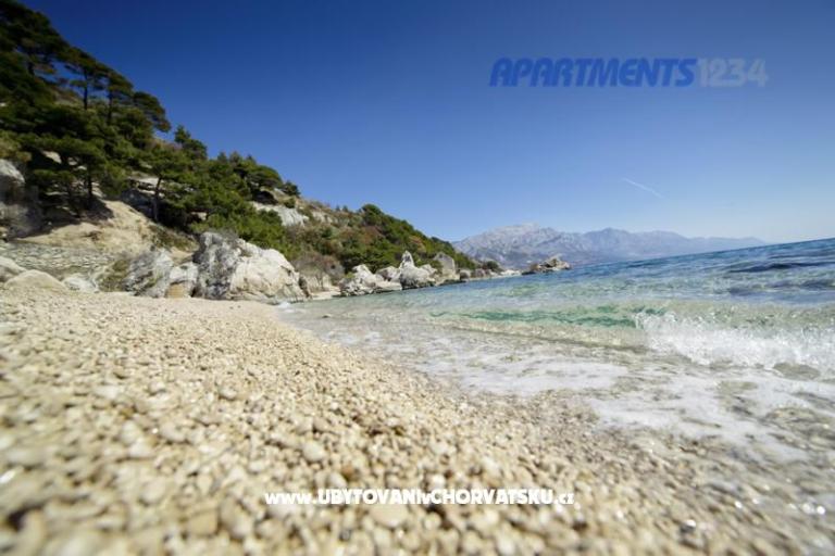 Appartements 1234 – foto 11