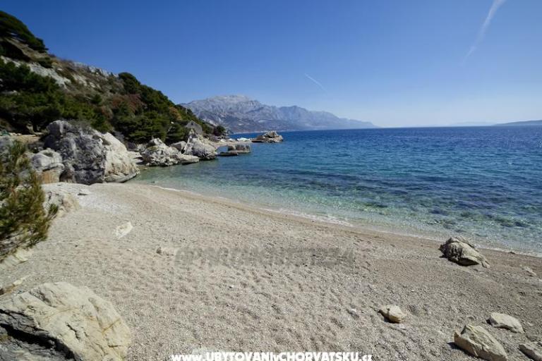 Appartements 1234 – foto 8