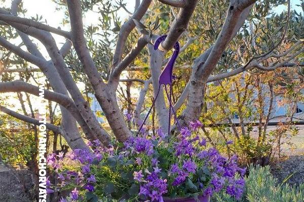 Appartements AGAVA – foto 25