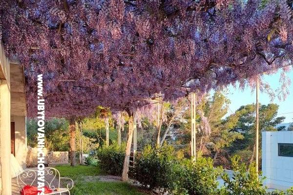 Appartements AGAVA – foto 28