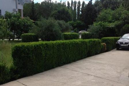 Appartements Omis Duce – foto 16