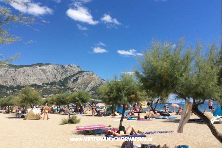 Appartements Banović – foto 8