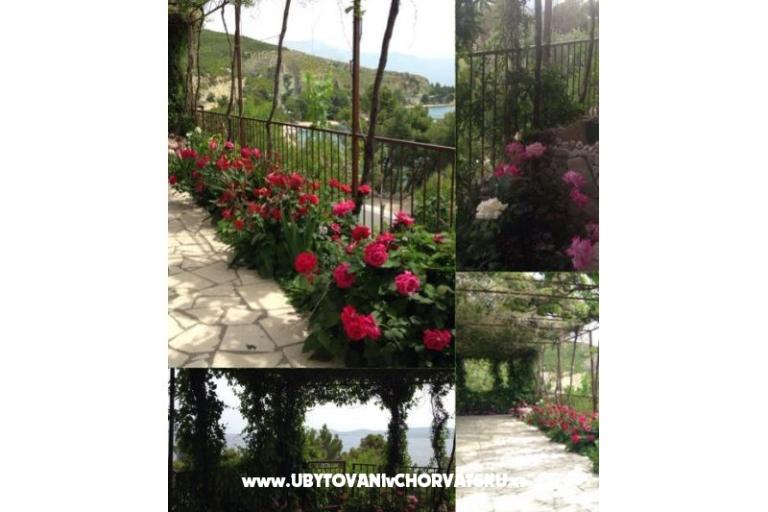 Appartements Blaženka – foto 18