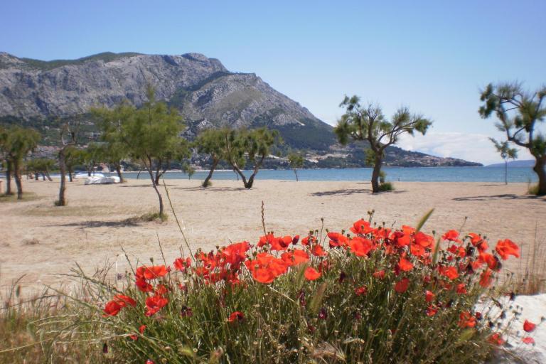 Appartements Danka Čudić – foto 3