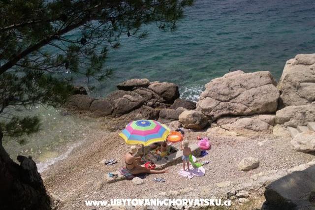 Appartements Delfin Stanići – foto 6