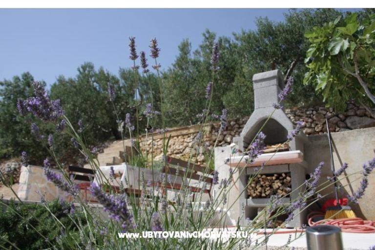 Appartements Dragana – foto 10